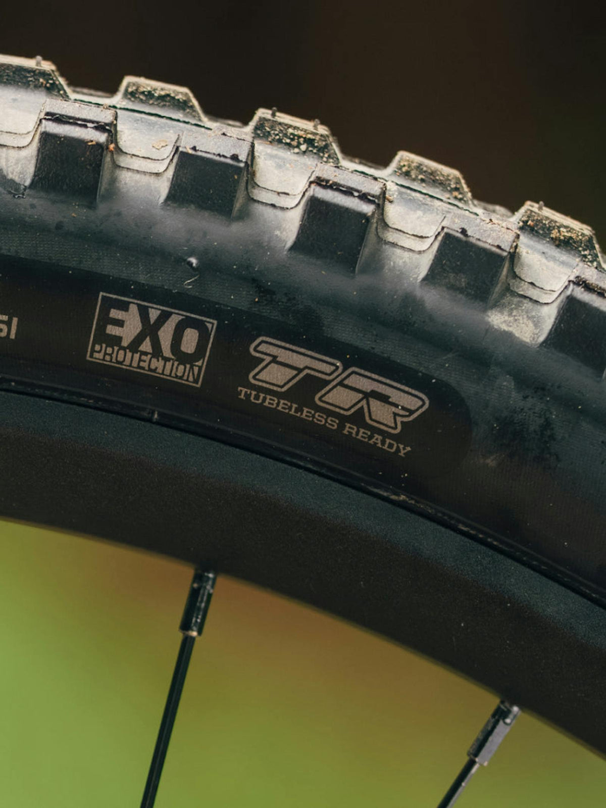 Aventon Current ADV Electric Mountain Bike — official gallery photo 16