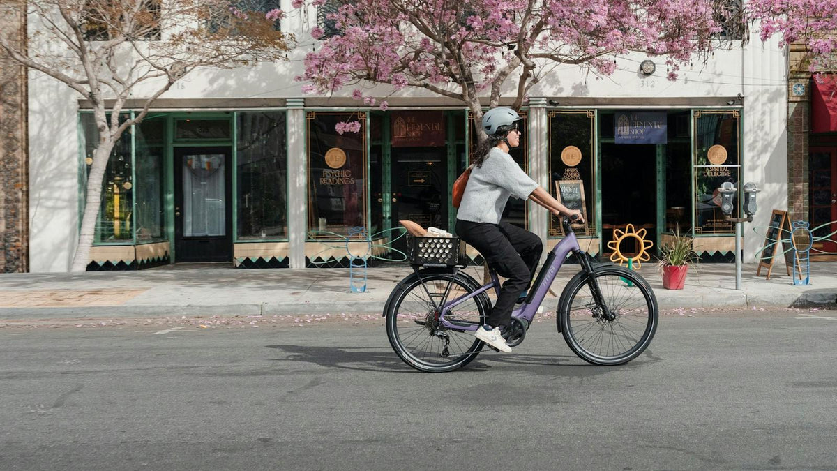 Aventon Level 4 ADV Electric Bike — official gallery photo 19