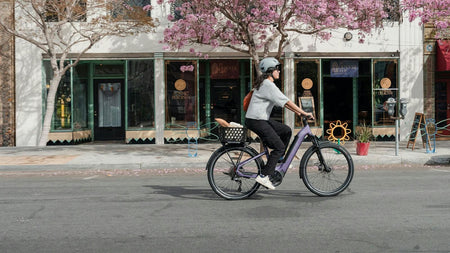 Aventon Level 4 ADV Electric Bike — official gallery photo 19