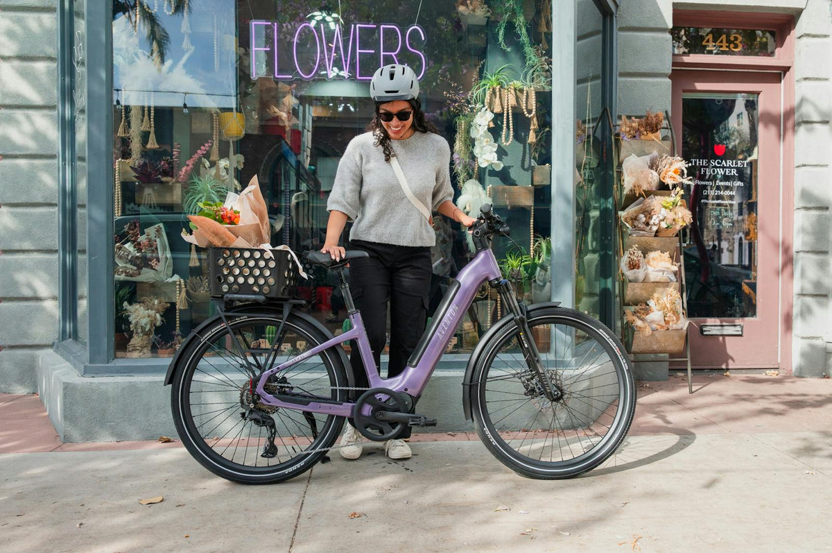 Aventon Level 4 ADV Step-Through Electric Bike — official gallery photo 8