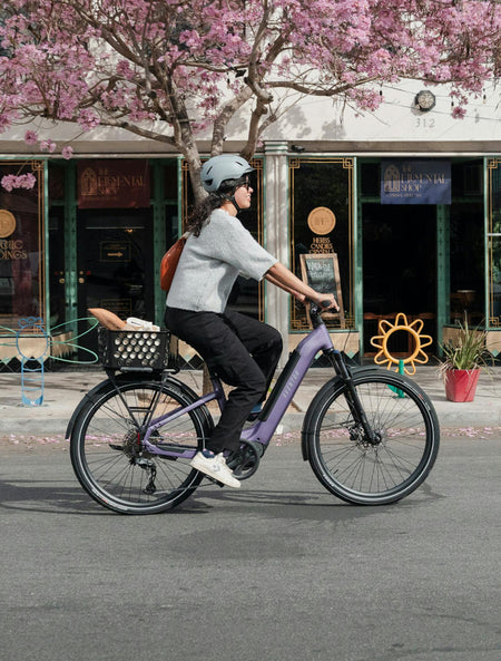 Aventon Level 4 ADV Step-Through Electric Bike — official gallery photo 22