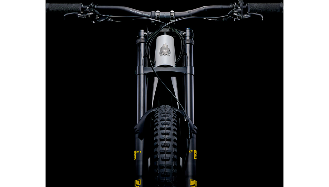 INTENSE Tazer MX Carbon Ebike - Pro Build