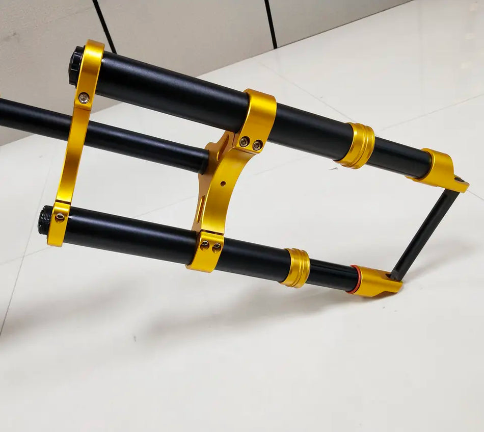 Fiido Dual Crown Fork