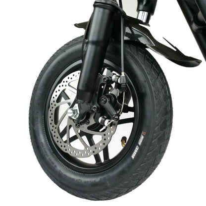 Fiido Q1S Seated Electric Scooter